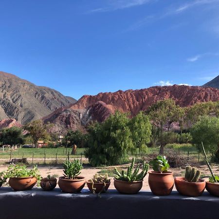 Las Lavandas بورماماركا المظهر الخارجي الصورة